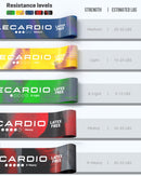 Multicoloured Training Bands With Coaching Exercise Brochure