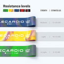Multicoloured Training Bands With Coaching Exercise Brochure